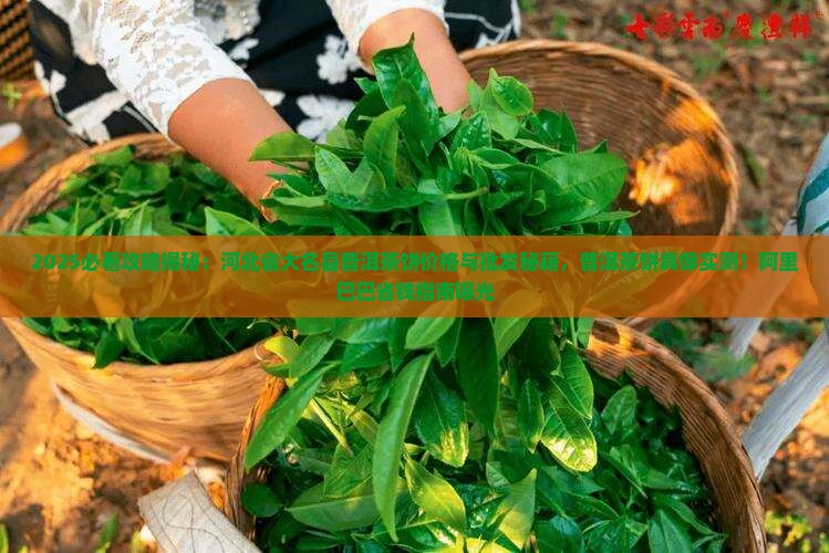 河北省大名县普洱茶饼