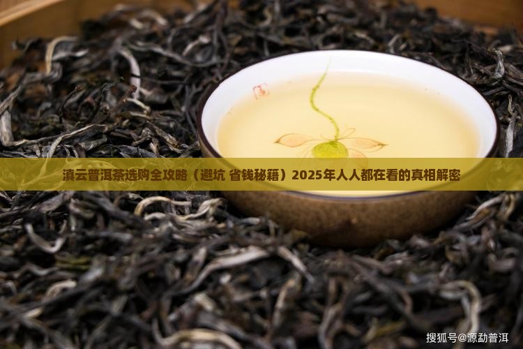 滇云普洱茶土特产
