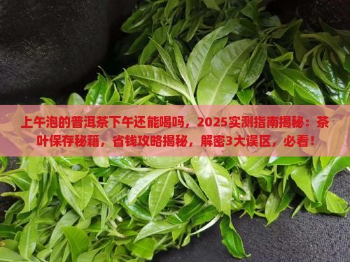 上午泡的普洱茶下午还能喝吗