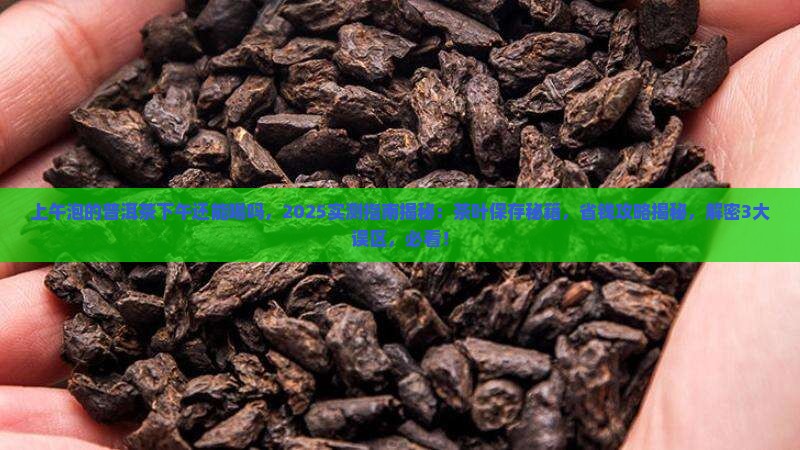 上午泡的普洱茶下午还能喝吗