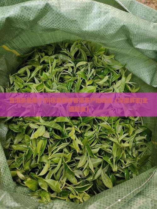普洱茶是哪个市