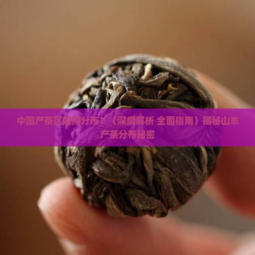 中国产茶区如何分布