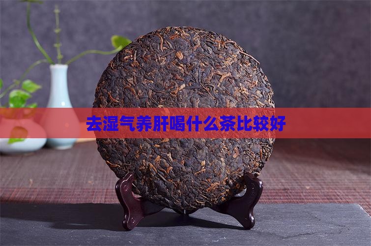 去湿气养肝喝什么茶比较好
