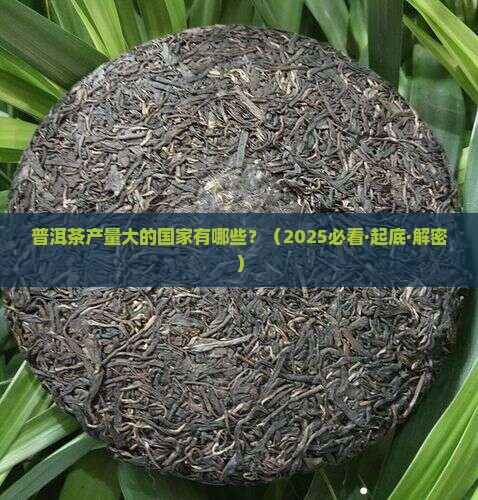 普洱茶产量大的国家有哪些