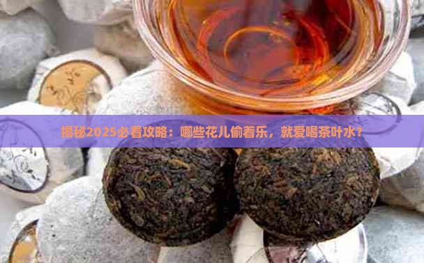 什么样的花喜欢茶叶水