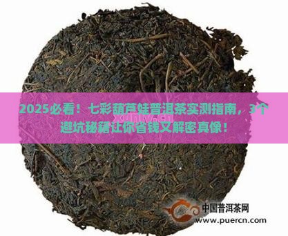 七彩葫芦娃普洱茶