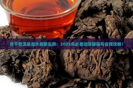 杏干普洱茶泡水的功效