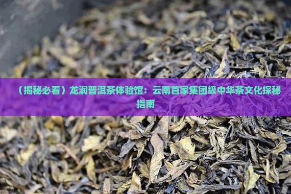 龙润普洱茶体验馆
