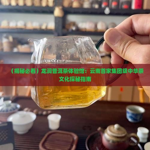 龙润普洱茶体验馆