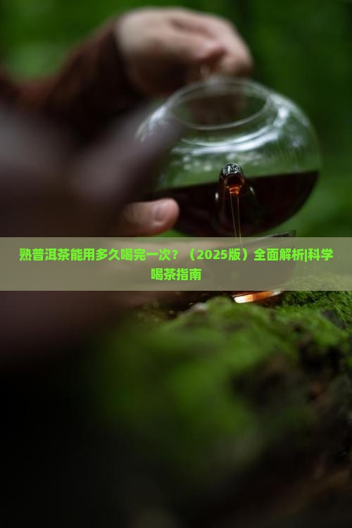 熟普洱茶能用多久喝完一次