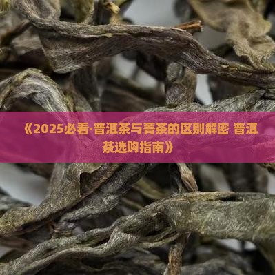 菁茶和普洱茶哪个好