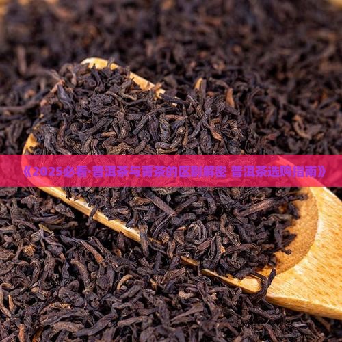 菁茶和普洱茶哪个好