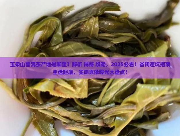 玉泉山普洱茶产地在哪里
