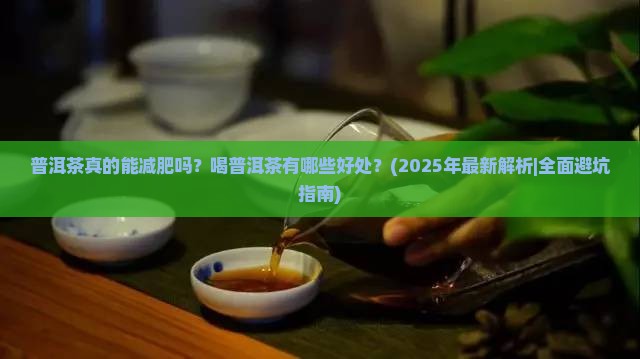 普洱茶起什么作用喝普洱茶