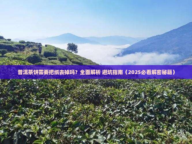 普洱茶饼需要把纸去掉吗