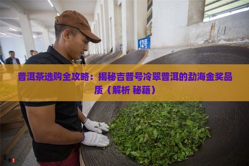 普吉号冷翠普洱茶