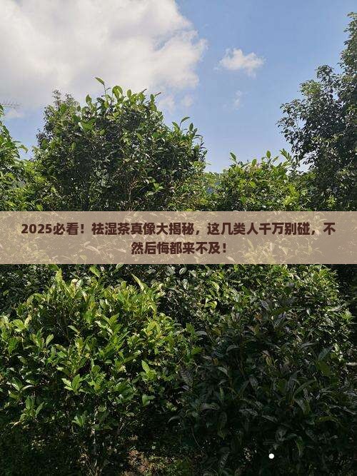 祛湿茶哪些人不能喝