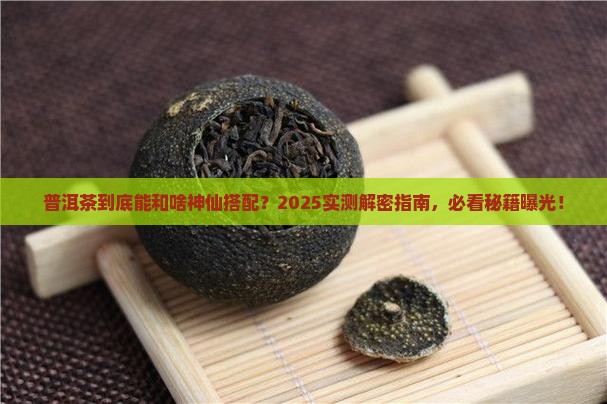 普洱茶可以配什么一起泡水