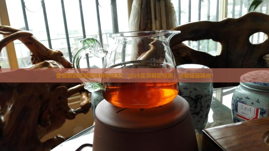 普洱茶可以配什么一起泡水