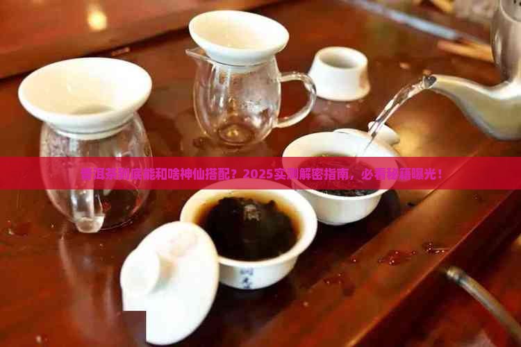 普洱茶可以配什么一起泡水