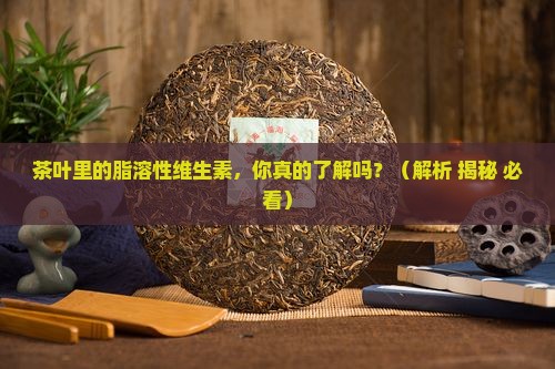 茶叶中的脂溶性维生素