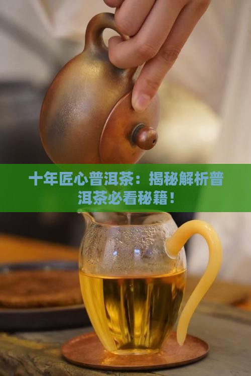 十年匠心普洱茶