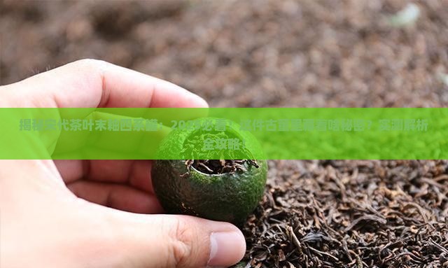 宋代茶叶末釉四系罐