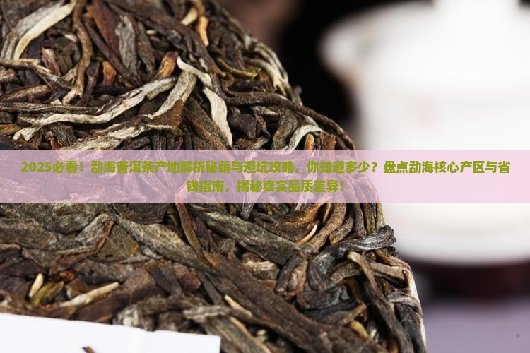 勐海的普洱茶有哪一些产地