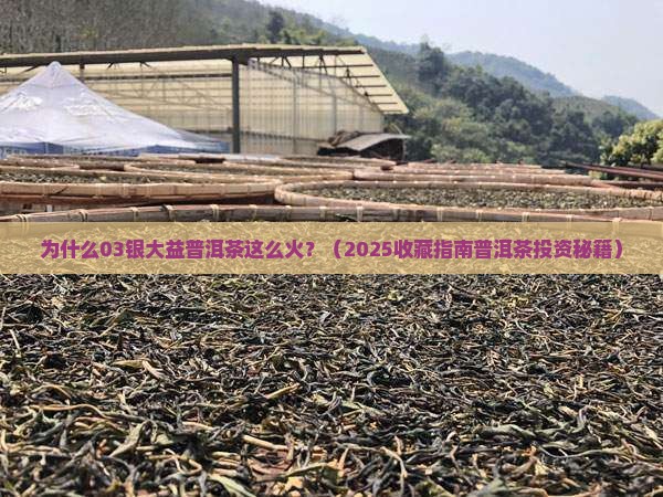 03银大益普洱茶