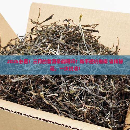 三月的普洱茶能喝吗 三月的普洱茶能喝吗