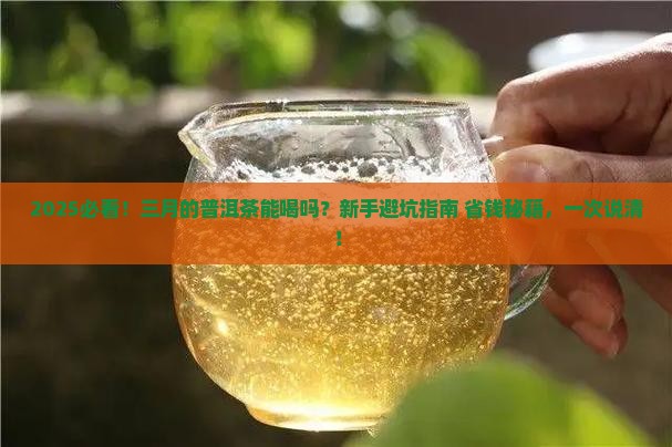 三月的普洱茶能喝吗 三月的普洱茶能喝吗