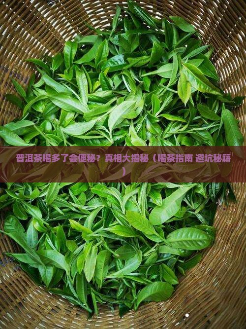 普洱茶喝多便秘吗