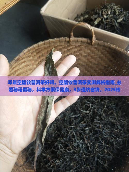 早晨空腹饮普洱茶好吗