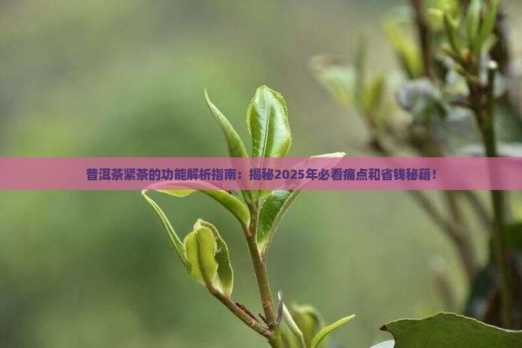 普洱茶紧茶的功能