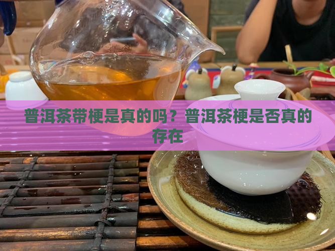 普洱茶带梗是真的吗