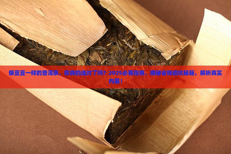 像豆豆一样的普洱茶