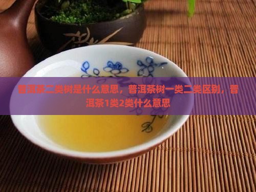 普洱茶二类树是什么意思