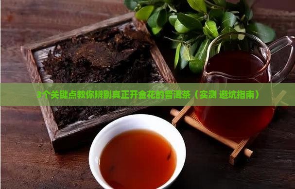 什么样的普洱茶才开金花