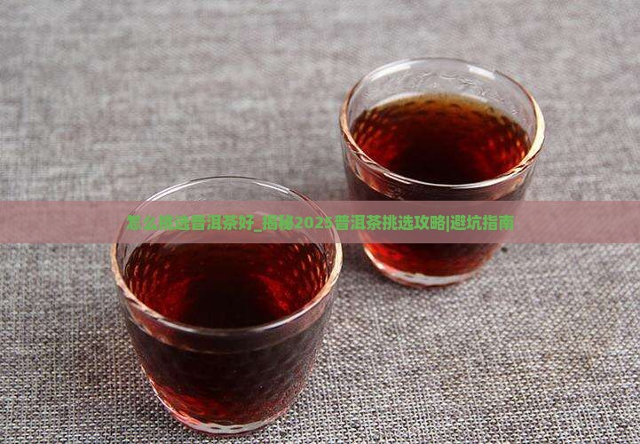 怎么挑选普洱茶好