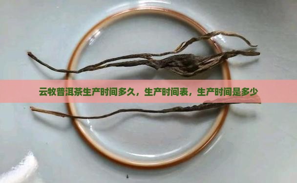 云牧普洱茶生产时间