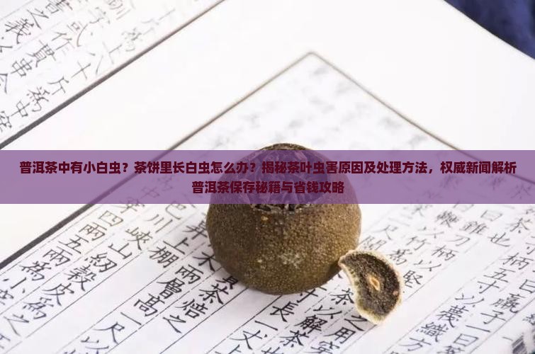 普洱茶中有小白虫