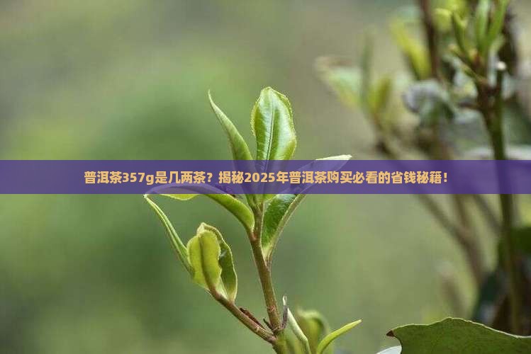 普洱茶357g是几两茶