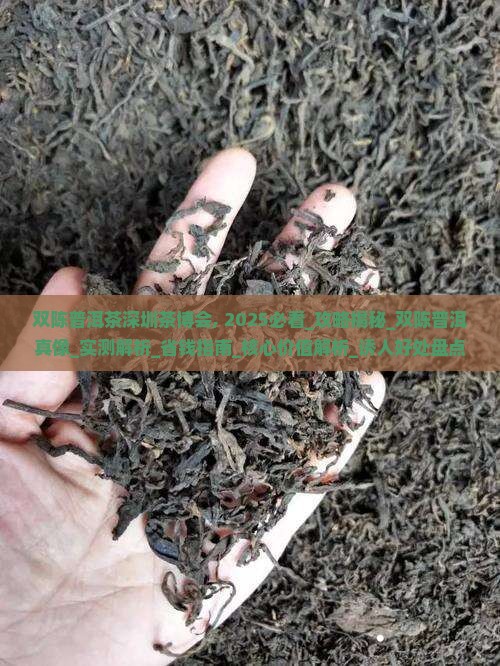 双陈普洱茶深圳茶博会