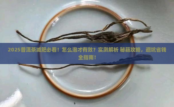 普洱茶怎么样泡能减肥