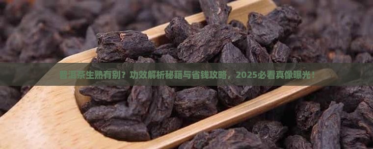 普洱茶生茶熟茶有区别功效