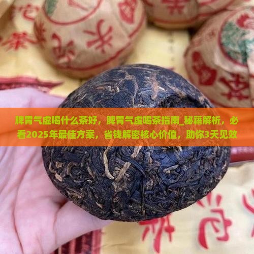 脾胃气虚喝什么茶好