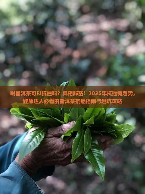 喝普洱茶可以抗癌吗