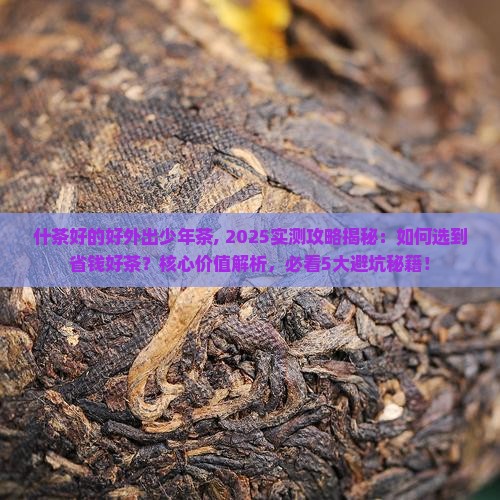 什茶好的好外出少年茶