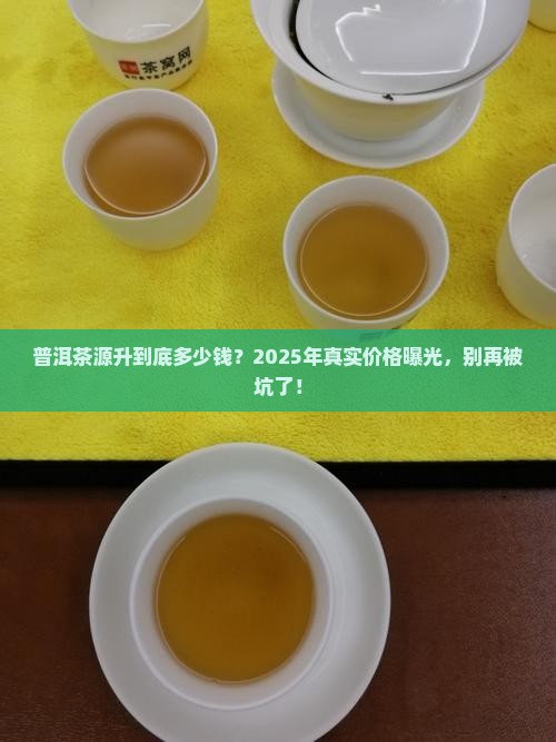 普洱茶源升多少钱
