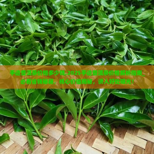 手造普洱茶价格多少钱